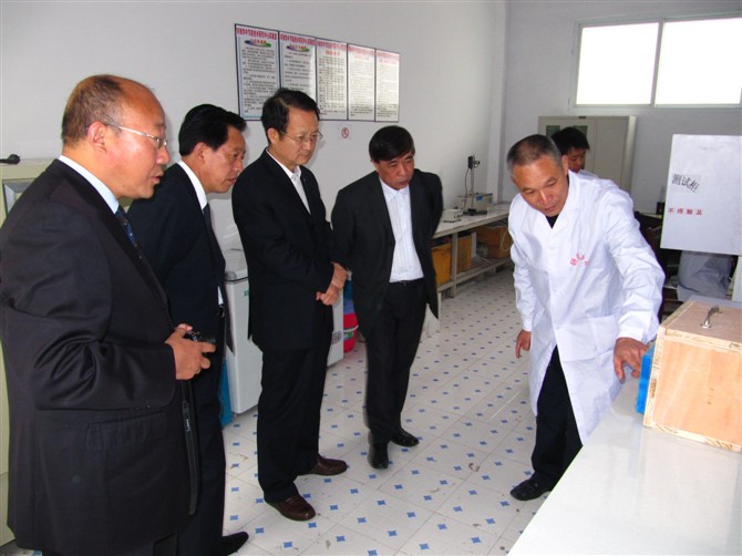 國家科技部高新司司長耿站修國家建筑行業(yè)生產力促進中心顧惠元主任視察實驗室